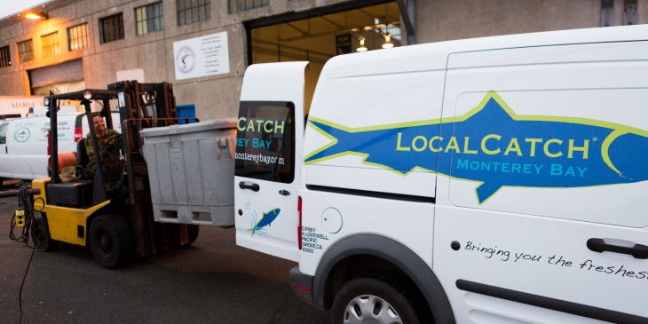 LocalCatchCSF 001