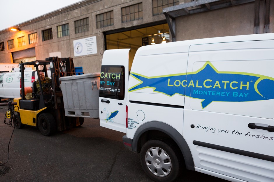 LocalCatchCSF 001